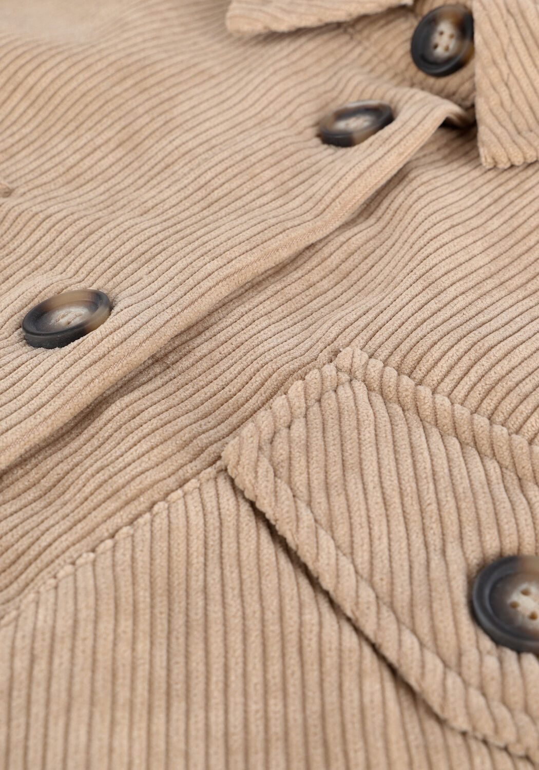 Beige MOVES  SAVISA - large