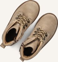 Taupe DU LOUA  LOUEN Taupe DU LOUA  LOUEN - medium