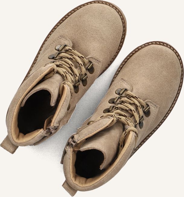 Taupe DU LOUA  LOUEN Taupe DU LOUA  LOUEN - large