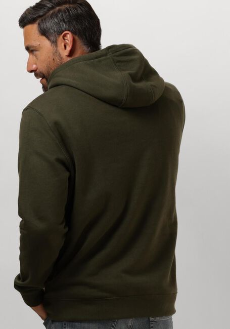 TOMMY JEANS TJM REG S FLAG HOODIE Pulls & Gilets en vert - large