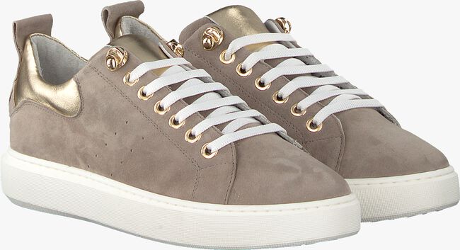 Taupe VERTON Lage sneakers 0030 - large