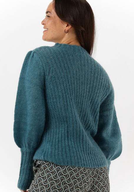 Blauwe DEA KUDIBAL Trui BESS - large
