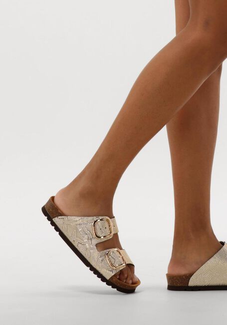 Gouden SCHOLL Slippers NOELLE Gouden SCHOLL Slippers NOELLE - large