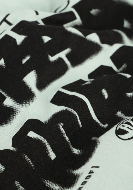 Groene RAIZZED Truien/vesten NEZAR - large