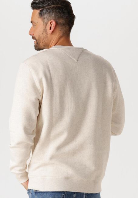 Beige TOMMY JEANS Sweater TJM REG LINEAR CREW EXT - large