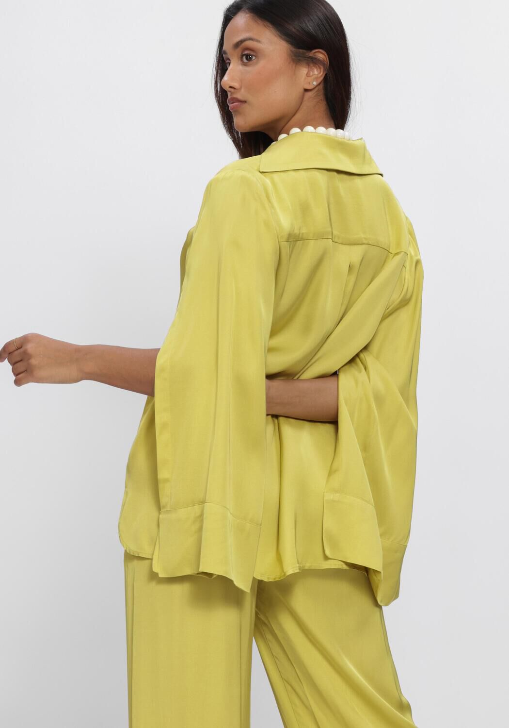 Groene NEMA  N017 - large