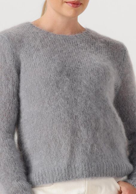 Lichtgrijze DES PETITS HAUTS Trui CHOUKY - large