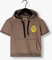 Taupe CARLIJNQ Sweater LION - HOODIE SHORT SLEEVE - medium