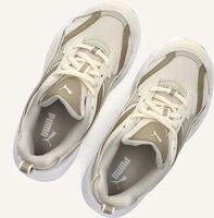 Beige PUMA Sneakers MORPHIC EARTHY Beige PUMA Sneakers MORPHIC EARTHY - medium