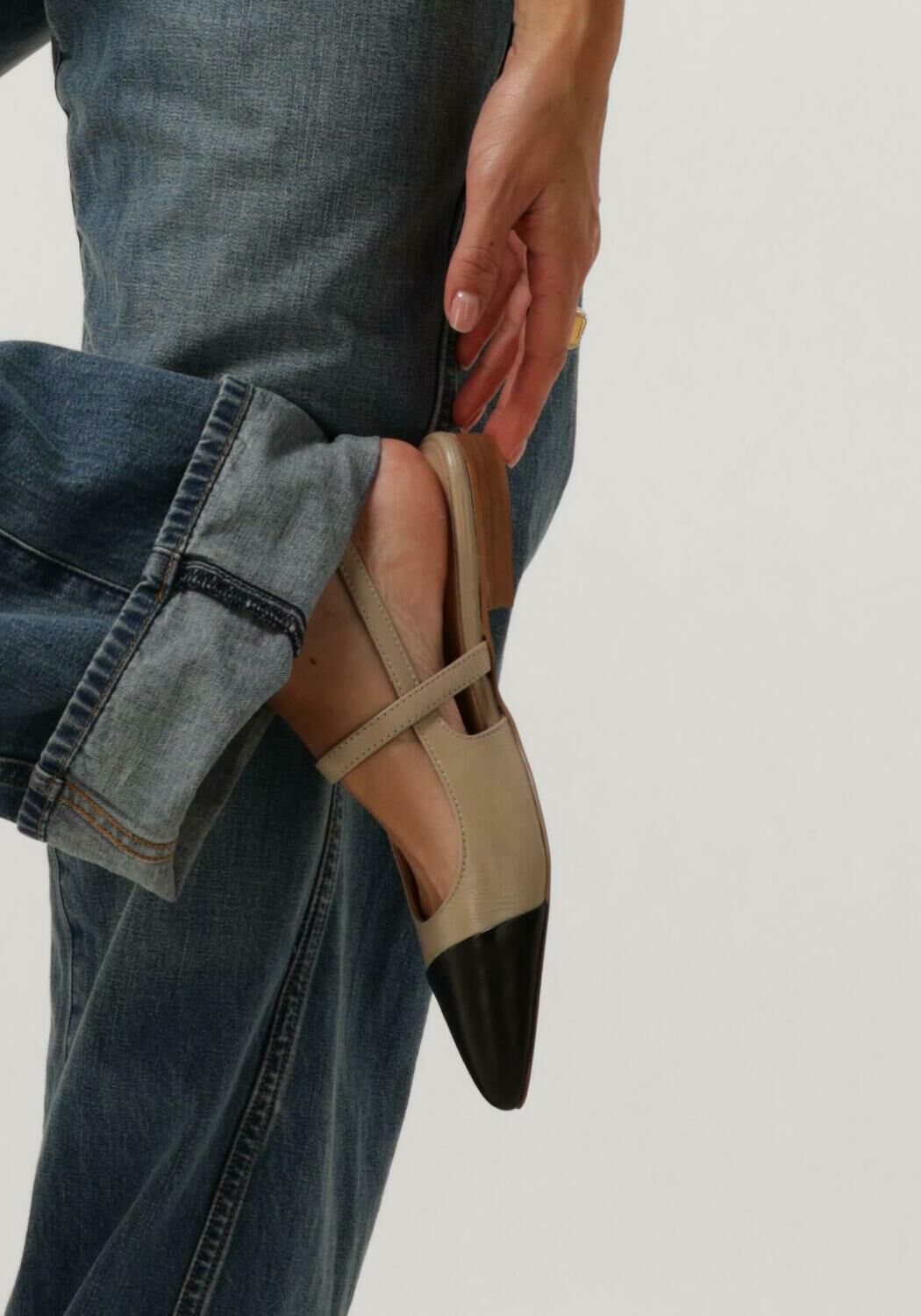 Beige NOTRE-V  VK1154 - large