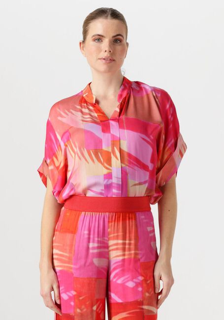 Fuchsia CAROLINE BISS  1688 - large