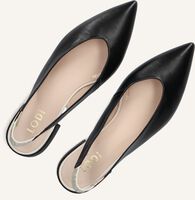 LODI AMARIE LODI AMARIE - medium