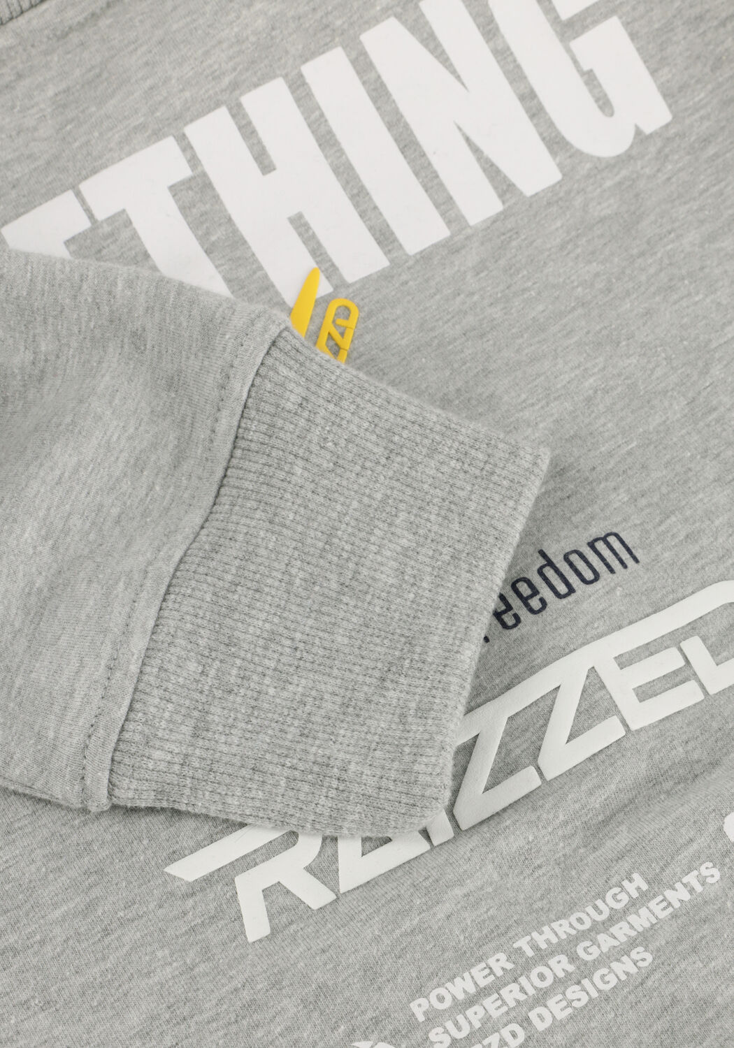 RAIZZED Chandail NORWIN en gris - large