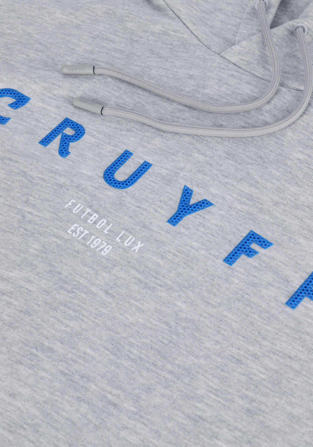 Lichtgrijze CRUYFF Sweater AITOR HOODIE - BRUSH BACK FLEECE - large