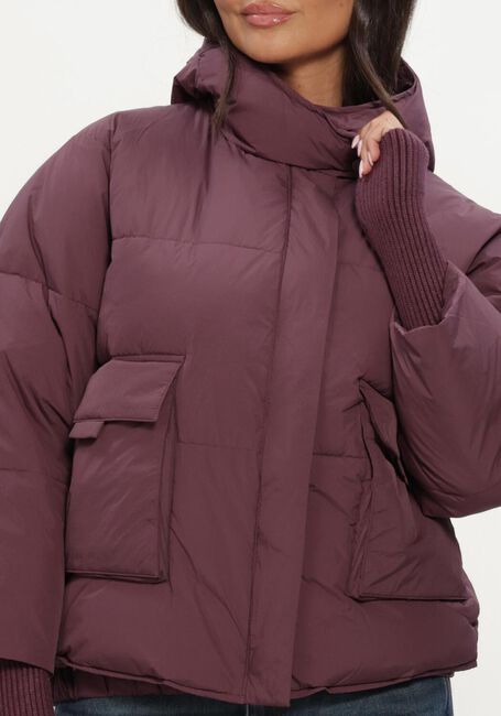 SILVIAN HEACH Veste matelass&eacute; PADDED JACKET NEDYALK Bordeaux - large