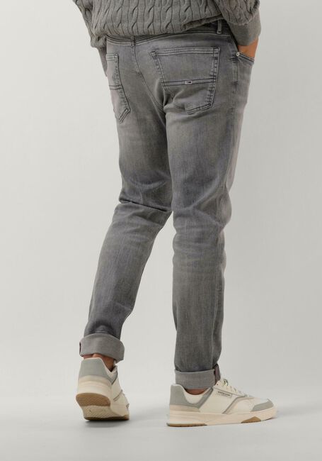 TOMMY JEANS Slim fit jeans AUSTIN SLIM TPRD DG1272 en gris - large