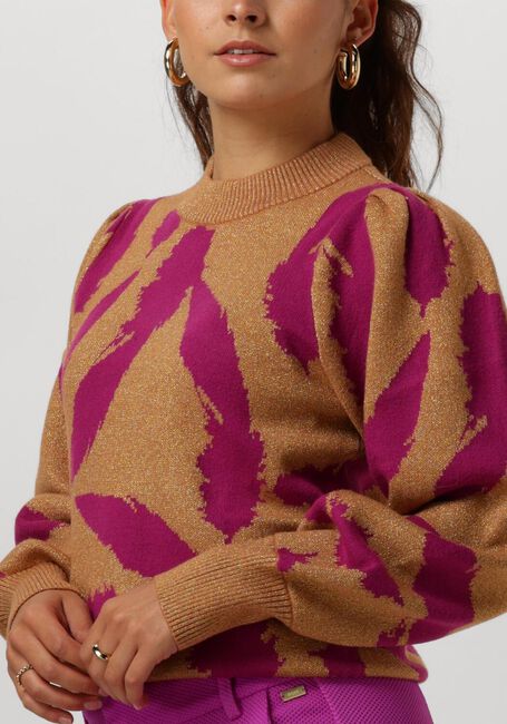 POM AMSTERDAM Pull PULLOVER - FEATHERS SPARKLE en marron - large