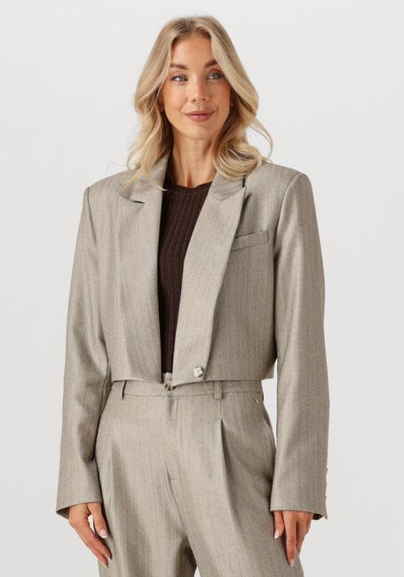 Lichtgrijze IBANA Blazer JELAH PINESTRIPE - large