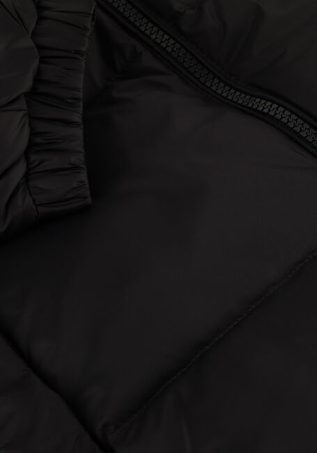 Zwarte TOMMY HILFIGER Gewatteerde jas ESSENTIAL DOWN JACKET - large