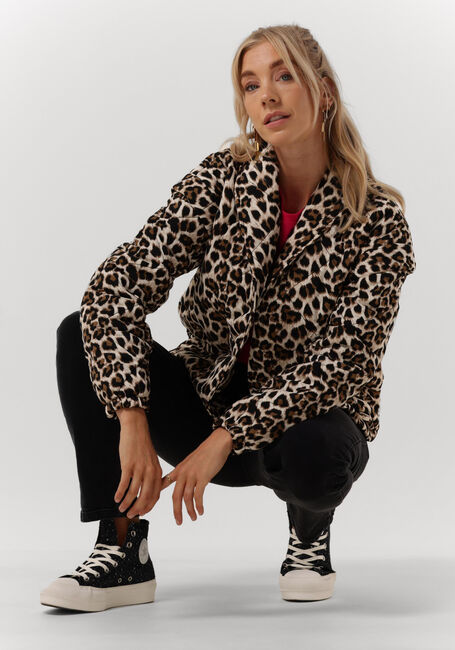 Bruine REFINED DEPARTMENT Jack JAY - large