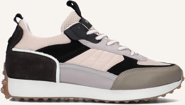 Multi GOOSECRAFT Sneakers DANE MEN Multi GOOSECRAFT Sneakers DANE MEN - large