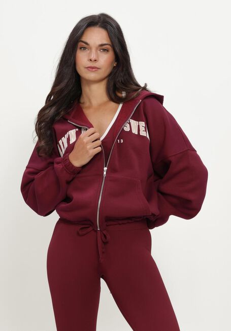 AIM'N Chandail VARSITY SWEAT ZIP HOOD Bordeaux - large