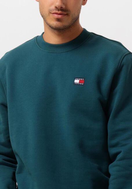 TOMMY JEANS Pull TJM REG BADGE CREW EXT en bleu - large