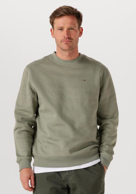 TOMMY JEANS Chandail TJM REG S FLAG CREW EXT en vert - large