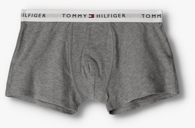 TOMMY HILFIGER UNDERWEAR Boxer 2P TRUNK BOXER TH en gris - large