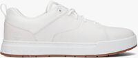 Witte TIMBERLAND Lage sneakers MAPLE GROVE MID LACE UP - medium
