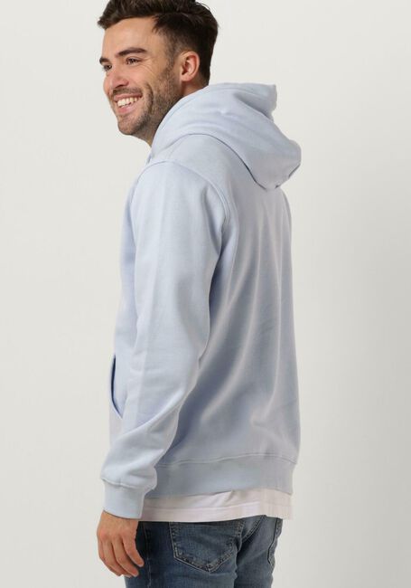 Lichtblauwe TOMMY JEANS Trui TJM REG LINEAR LOGO HOODIE EXT - large