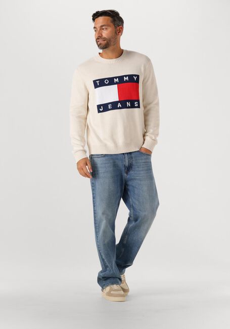 TOMMY JEANS TJM REG MELANGE FLAG SWEATER - large