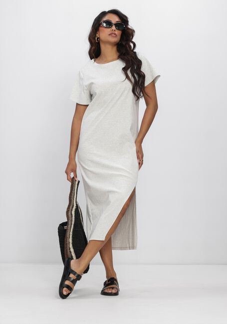 Grijze AIMEE THE LABEL Jurken NALAS6 DRESS - large