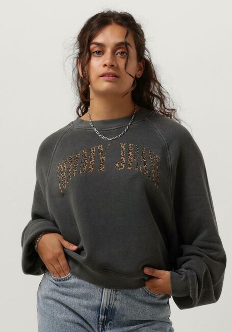 TOMMY JEANS Pull TJW RLX LEO CREW Gris foncé - large