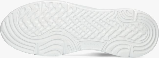 NUBIKK ROQUE ROAD WAVE Baskets basses en blanc - large