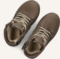 Taupe PINOCCHIO  P2187 Taupe PINOCCHIO  P2187 - medium