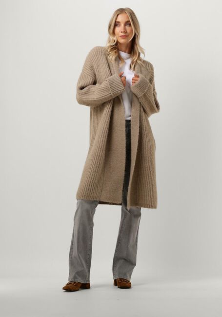 CIRCLE OF TRUST Gilet GINA KNIT en marron - large