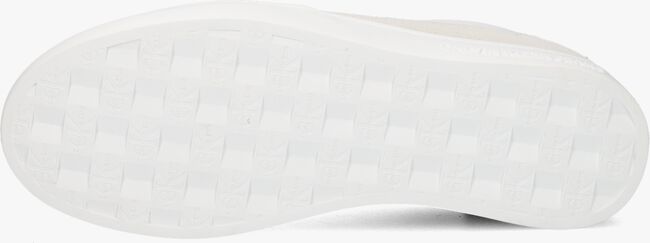CALVIN KLEIN CLASSIC CUPSOLE Baskets basses en blanc - large
