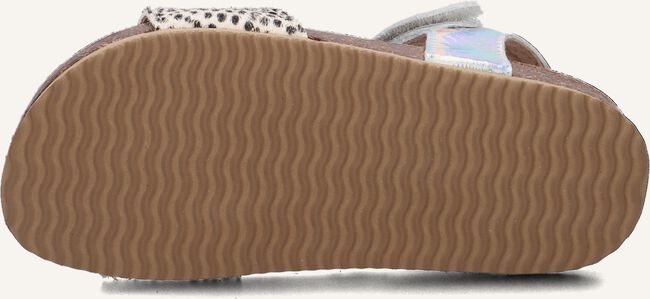 CLIC! CL-GRASS CLIC! CL-GRASS - large