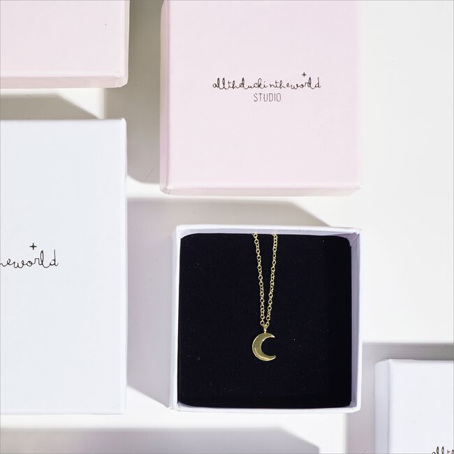 Gouden ALLTHELUCKINTHEWORLD Ketting FORTUNE NECKLACE MOON - large