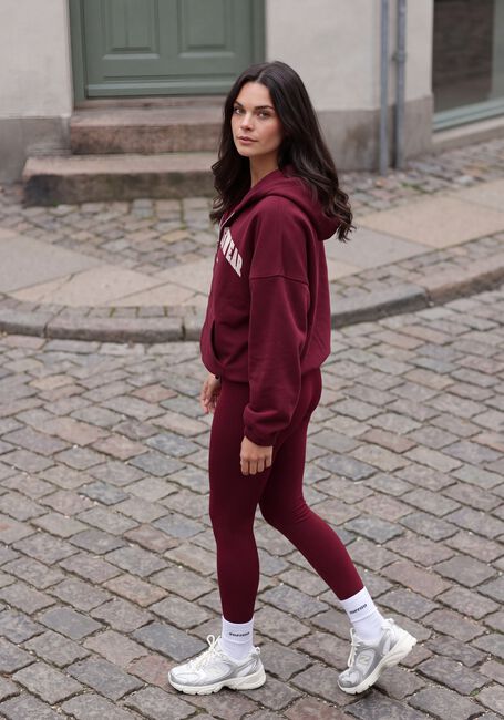 AIM'N Chandail VARSITY SWEAT ZIP HOOD Bordeaux - large