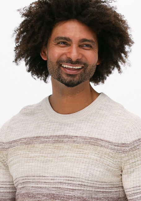 CAST IRON Pull R-NECK COTTON SLUB STRIPE Sable - large