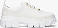 TIMBERLAND GREYFIELD FABRIC OX Chaussures à lacets en blanc - medium