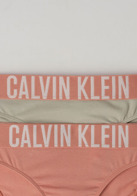 Roze CALVIN KLEIN UNDERWEAR  2PK BIKINI - large