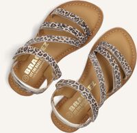 BRAQEEZ CASSY CALL BRAQEEZ CASSY CALL - medium