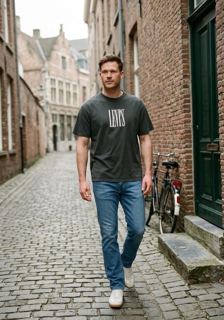 LEVI'S T-shirt VINTAGE FIT GRAPHIC TEE Kaki - large