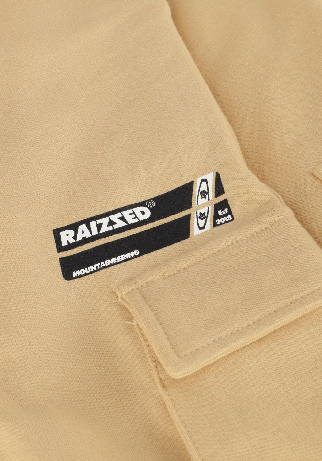RAIZZED Pantalon cargo OSAKA Sable - large