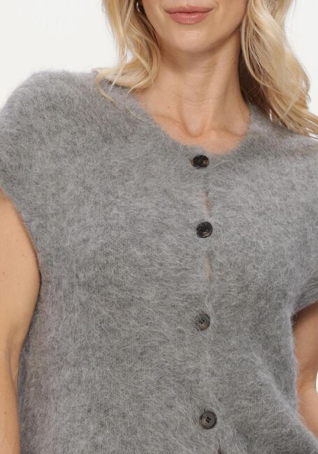 Grijze MSCH COPENHAGEN Top MSCHTILA SALMIA VEST - large