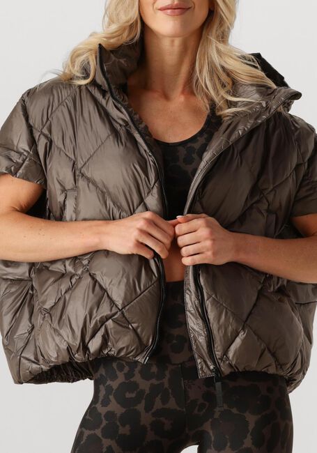 Taupe DEBLON SPORTS Gewatteerde jas STEVIE BODYWARMER - large
