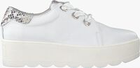 ROBERTO D'ANGELO Chaussures à lacets 605 en blanc  - medium